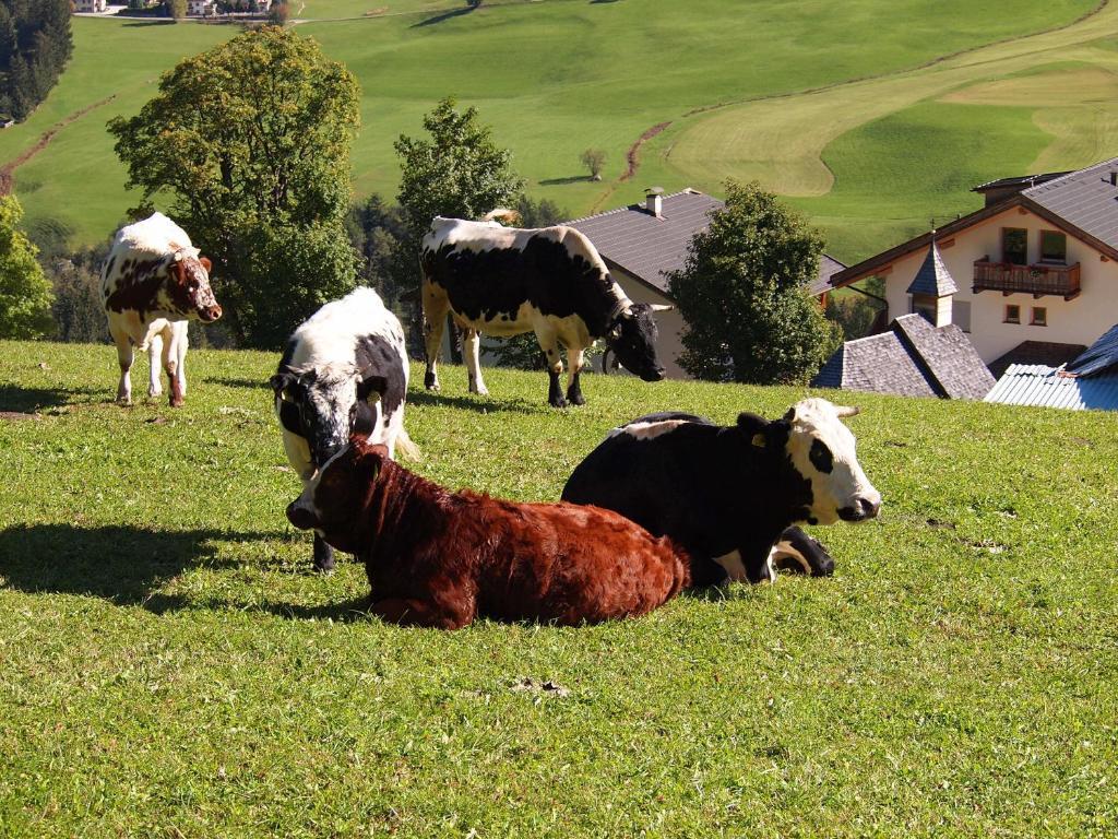 Agriturismo Paracia Willa Badia  Zewnętrze zdjęcie
